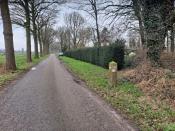 Grenssteen 541