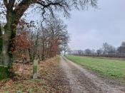 Grenssteen 580