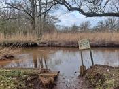 Dommel, richting Grenspaal 183