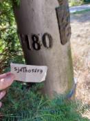 Afbeelding 1