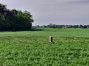 Grenssteen 107