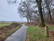Grenssteen 586
