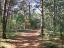 wat breder pad