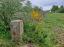 Grenssteen 102