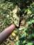 193B