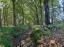 Grenspaal 206-C (locatie)