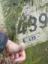 Logfoto OB1918