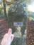 Der 1. Cache