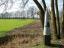 Landelijke omgeving
