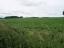omgeving