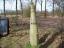 Paal 177 met GPS