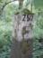 paal257