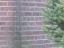 RD Meetpunt: 57052211