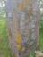 Grenssteen 102