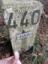 Logfoto OB191B