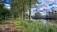Grenspaal 296, omgeving